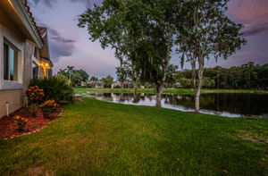 Backyard17