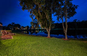 Backyard37