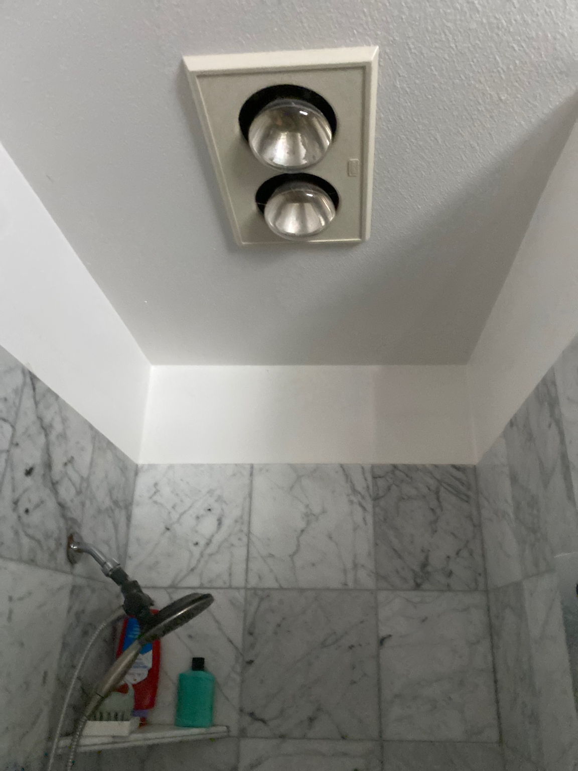 Master BA Stall Shower Ceiling Heat Lamps