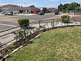Fully Fence Enclosed Large 6,900 sf. Corner Lot!
