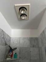 Master BA Stall Shower Ceiling Heat Lamps