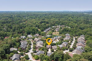 1303 Westridge Forest Ct-46