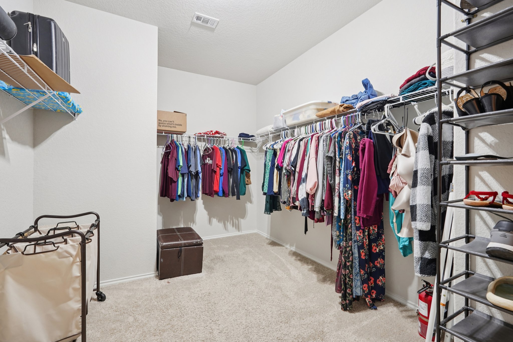 Heathers Reef-S0701-042.jpg