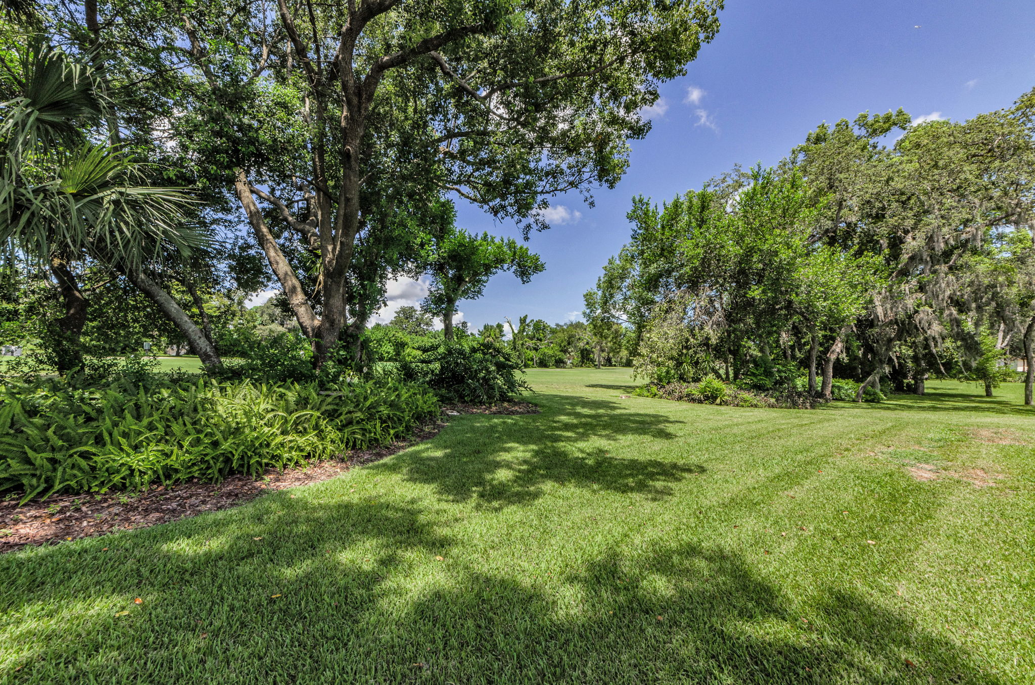Backyard 4