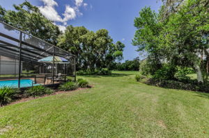 Backyard 1