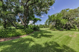Backyard 4