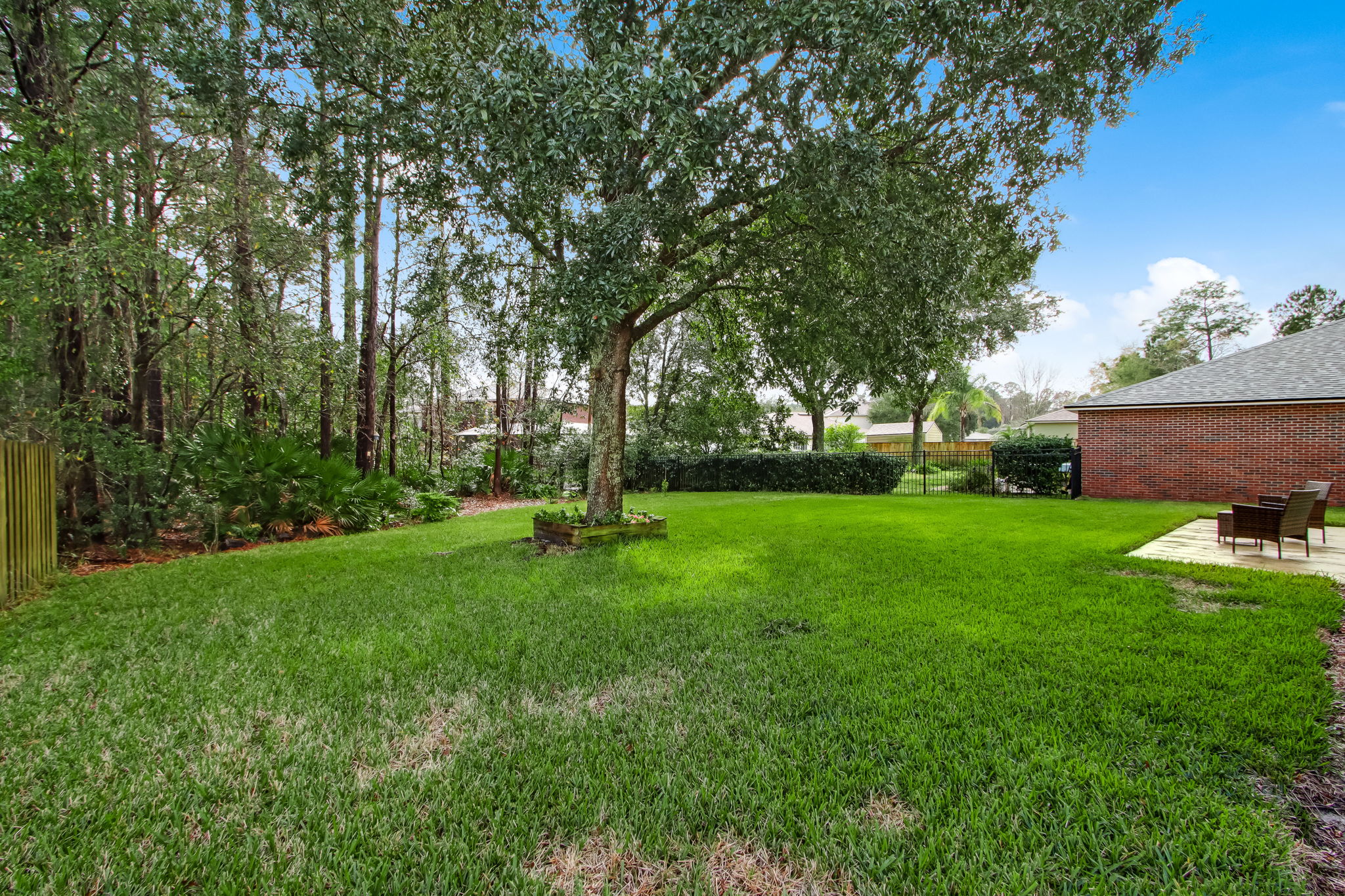 Backyard