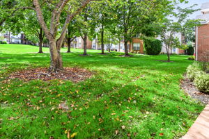  Photo 35