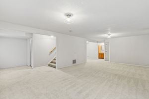Basement Family Room