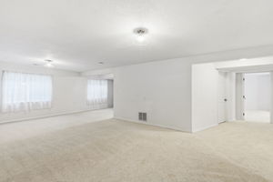 Basement Family Room