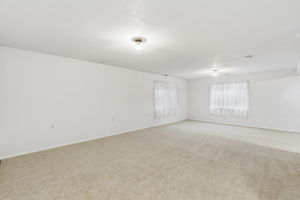 Basement Family Room