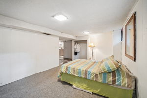 Lower Level Bedroom