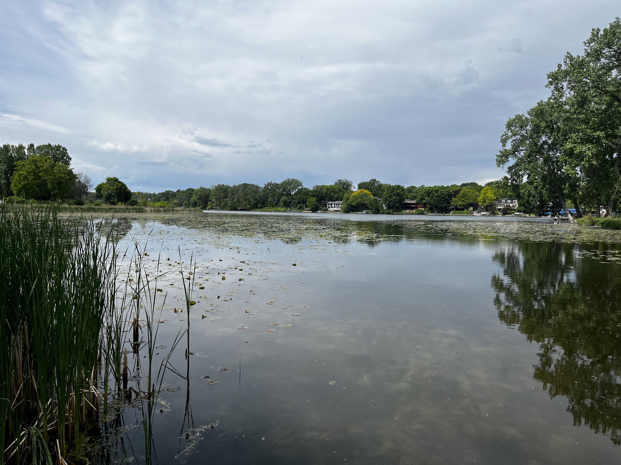  Photo 46