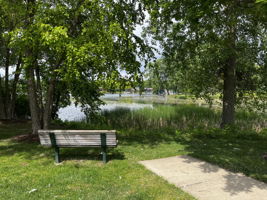  Photo 43