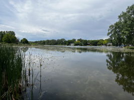  Photo 45