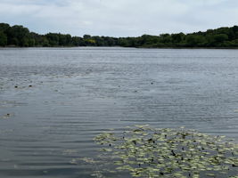  Photo 48