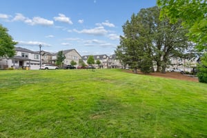 Park Across Street