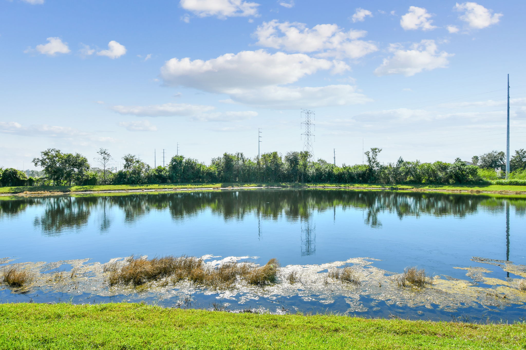 Back Yard - Pond View