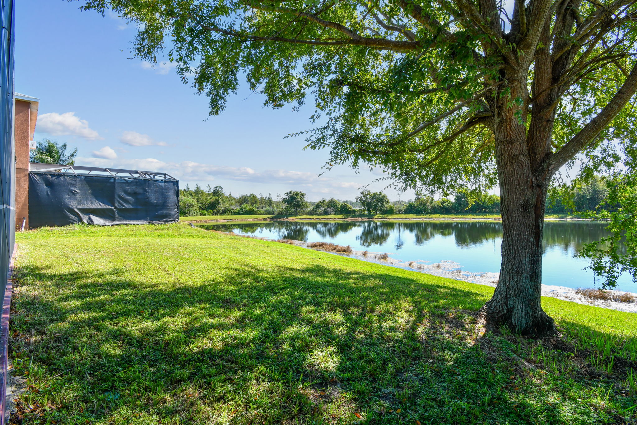 Back Yard - Pond View