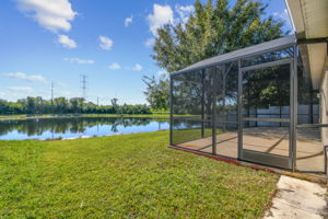 Back Yard - Pond View