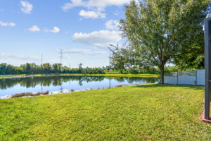 Back Yard - Pond View