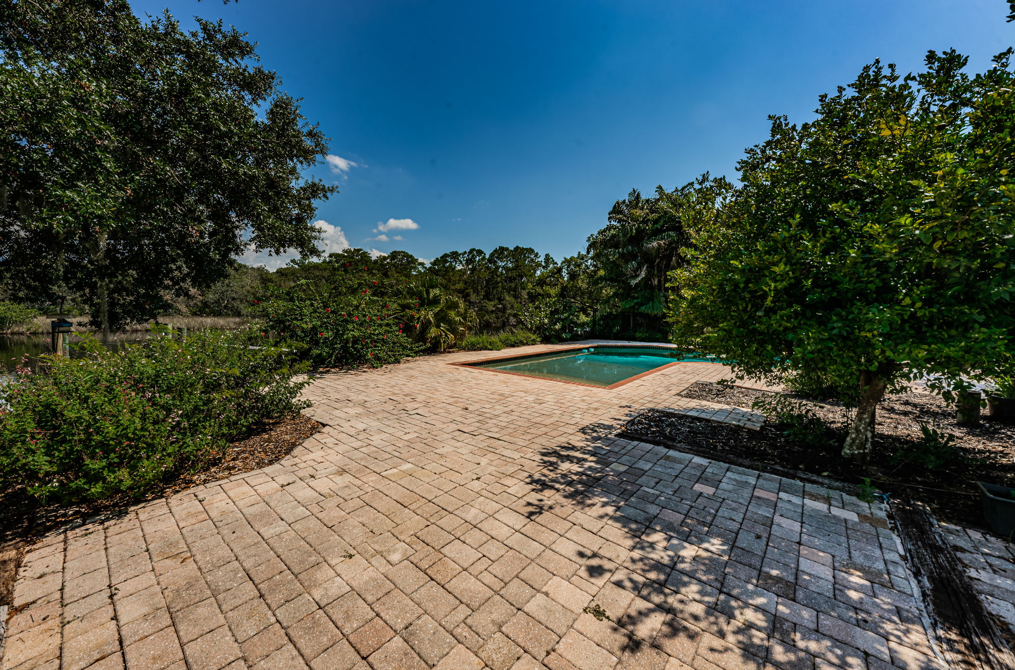 Patio and Pool