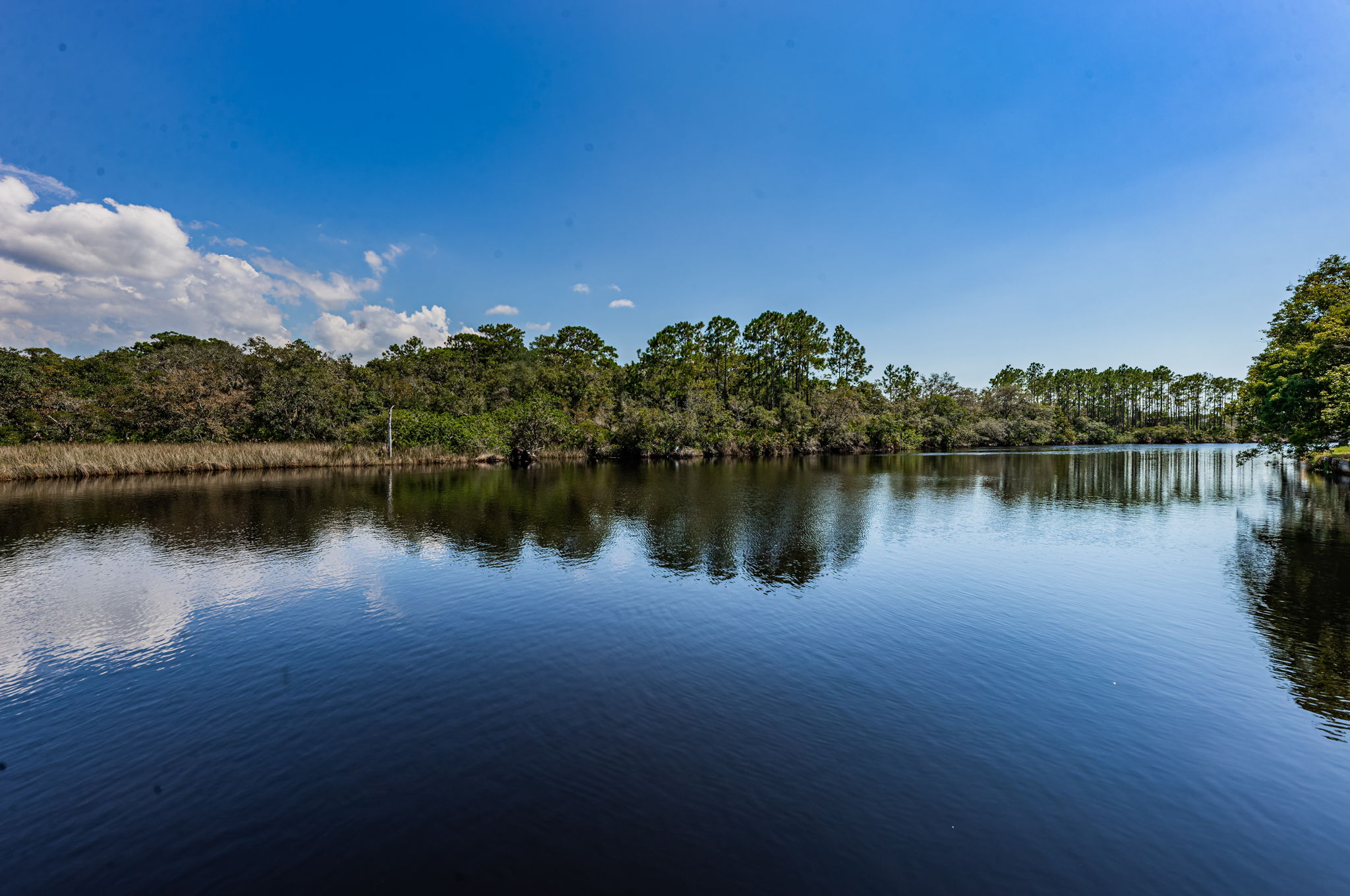 Dock Water View3