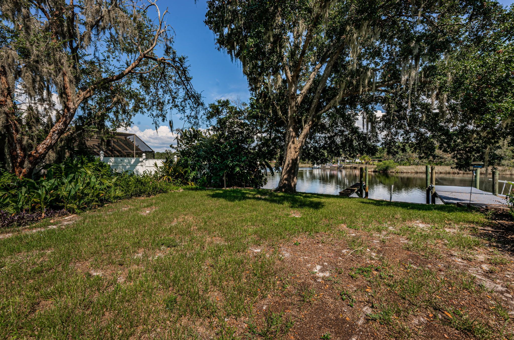 Backyard2-4