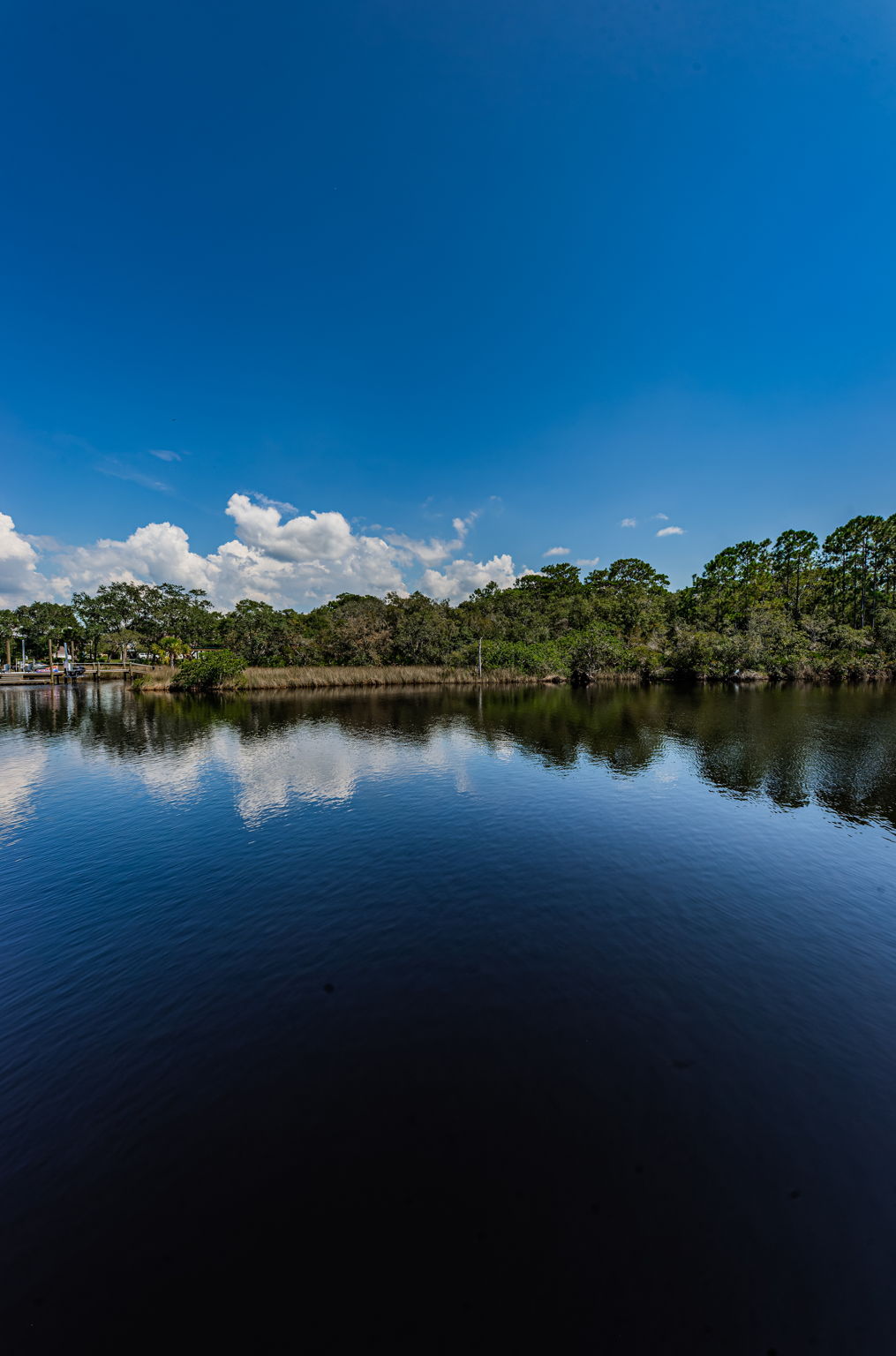 Dock Water View2