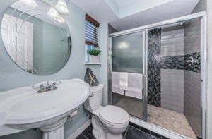 Lower Level Family Room Bathroom