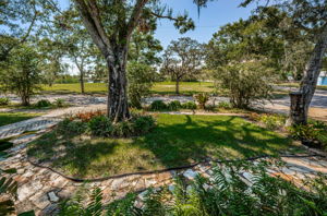 Frontyard