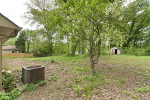  Photo 38