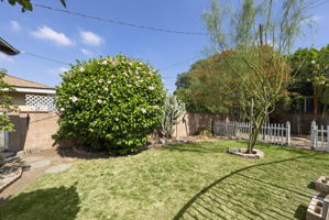  Photo 31