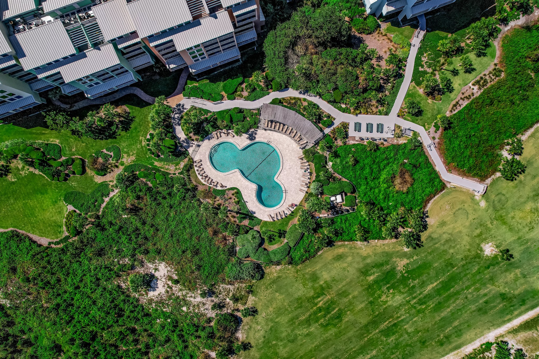 Pool aerial view