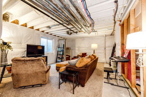 Basement family room