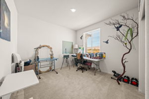  Photo 37