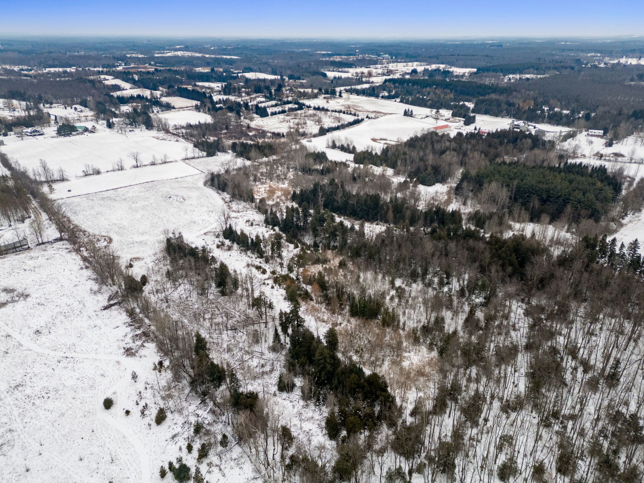 Clear Fields and wooded Area