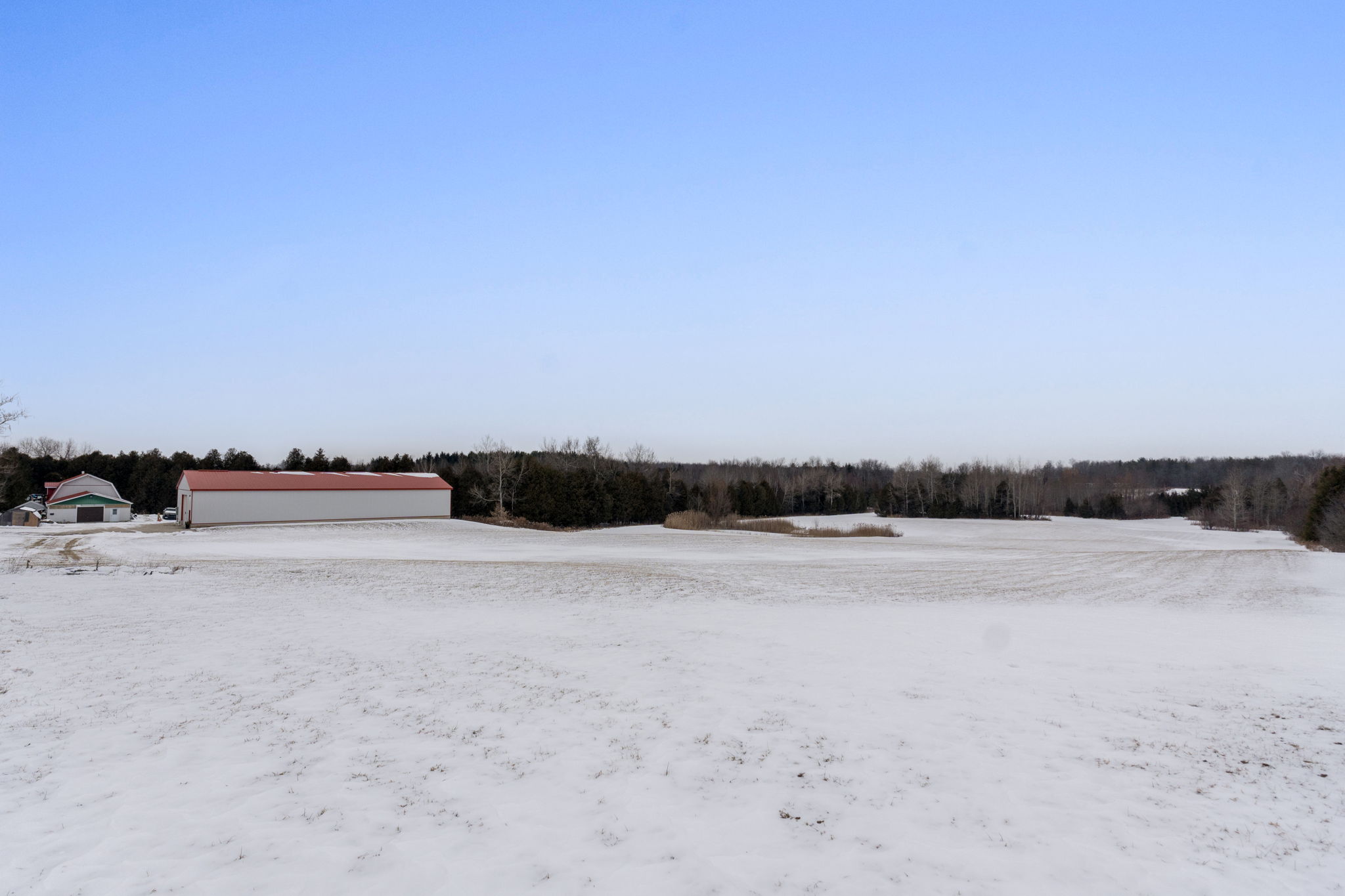 Huge Lawns and Fields