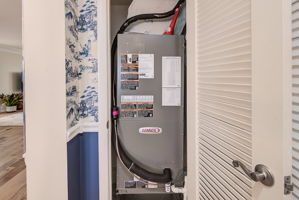  Photo 37