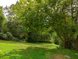  Photo 27