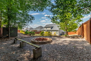 Fire Pit Area/Back Yard