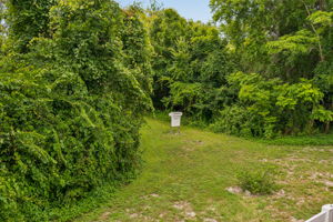 Community Nature Area