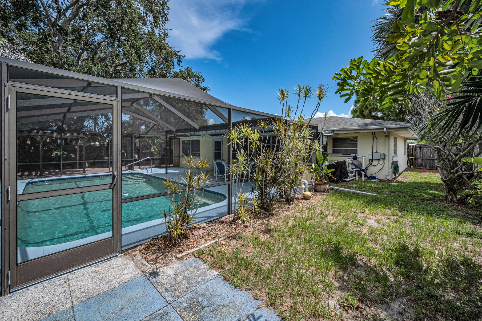 Backyard1