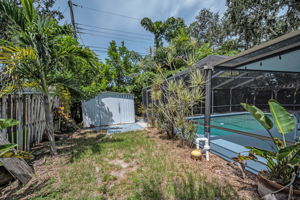 Backyard2
