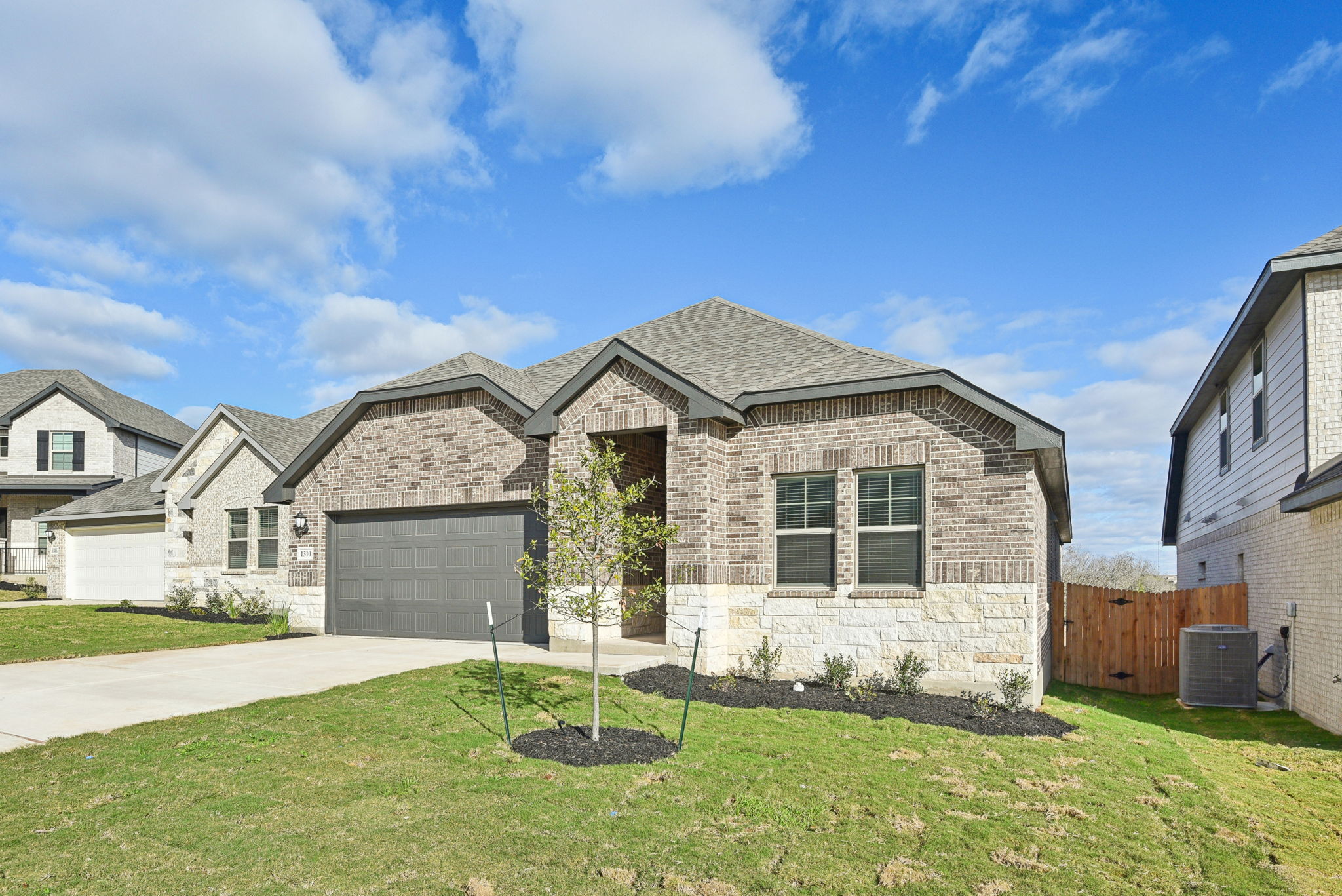 an Antonio-Arcadia Ridge-1310 Arcadian Rose-004
