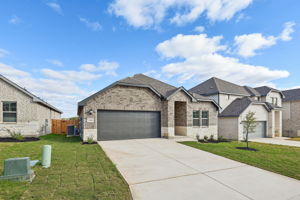 an Antonio-Arcadia Ridge-1310 Arcadian Rose-001