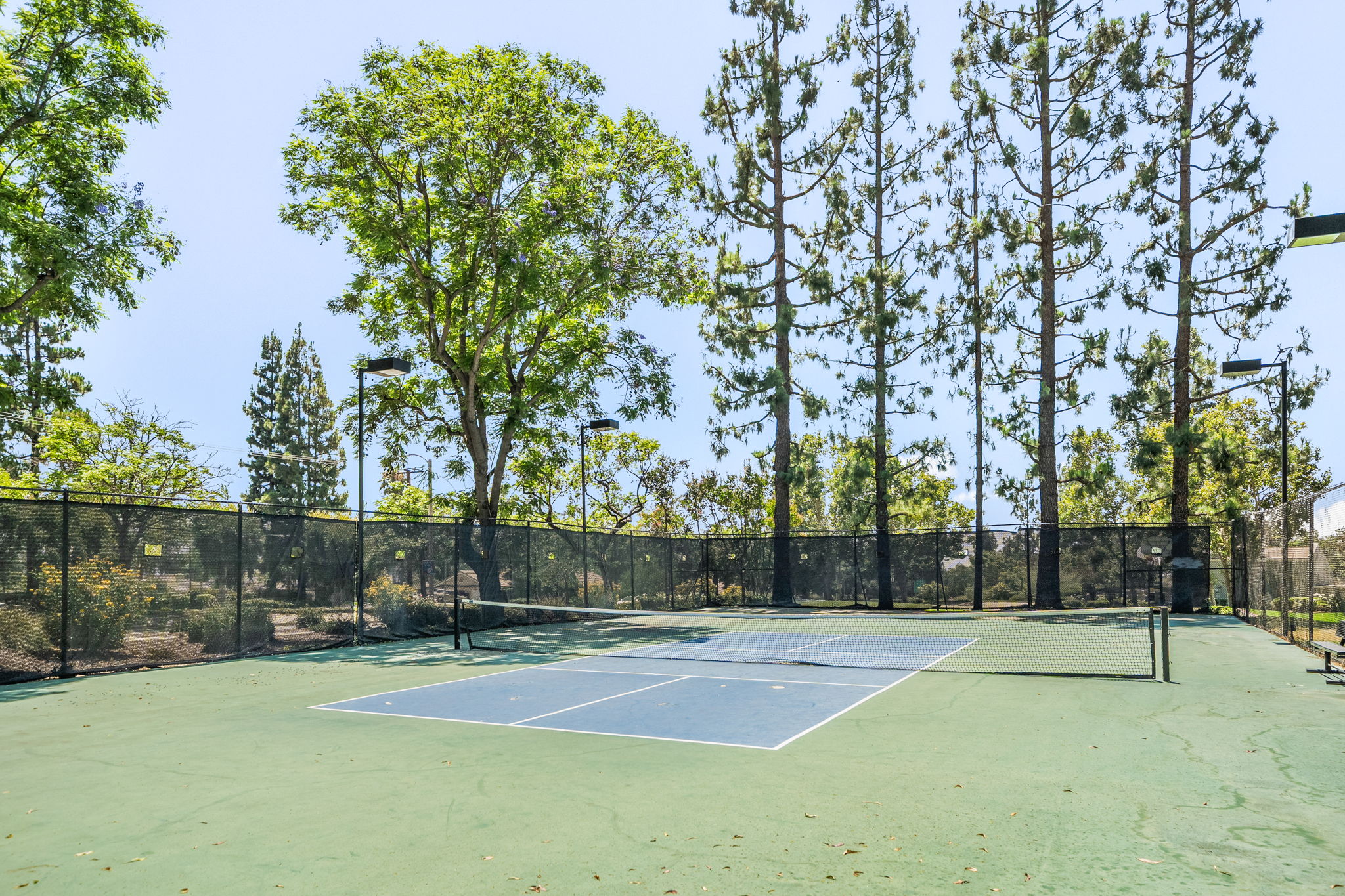 Pickle Ball Court