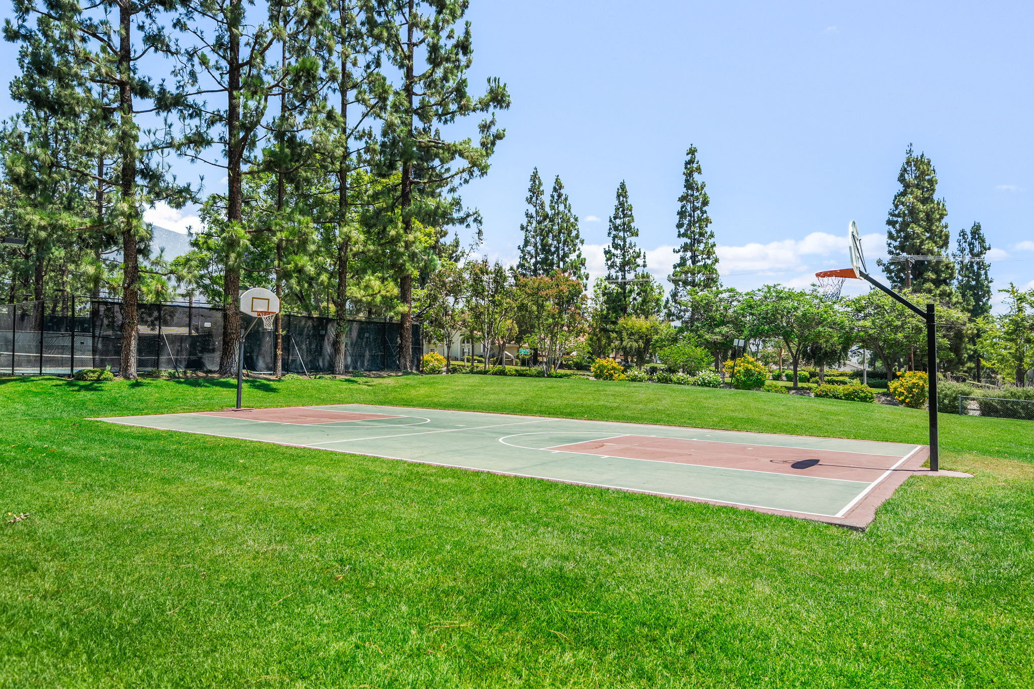 Basketball Court