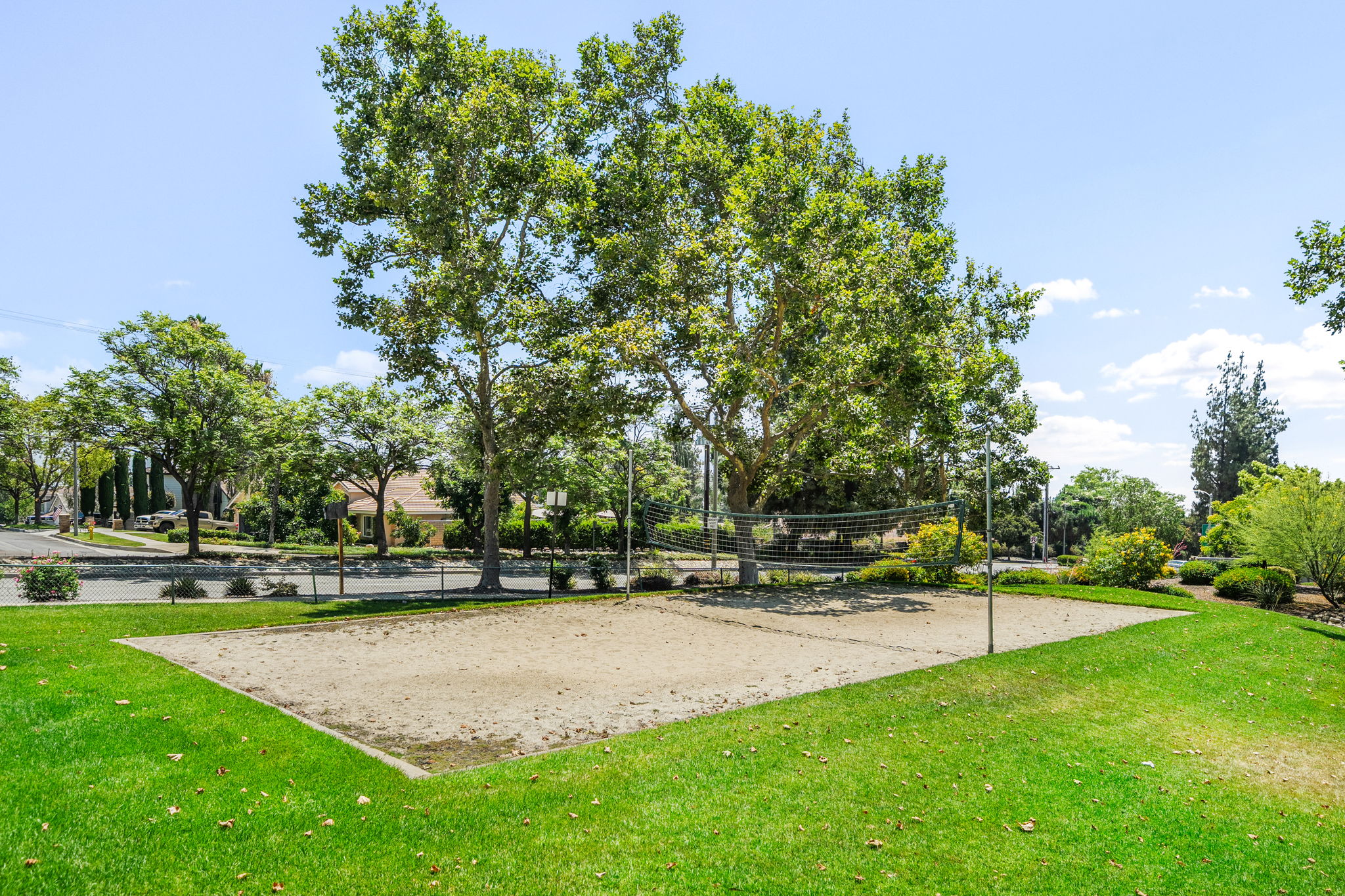 Volleyball Court