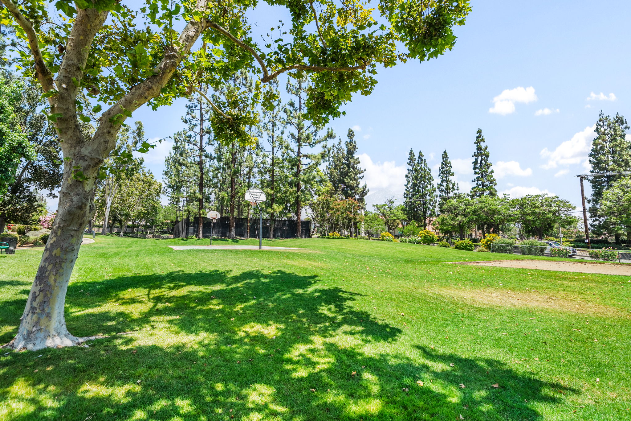 Common Area Lawn